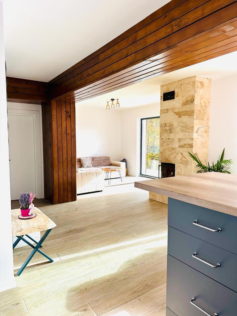 Villa Stone House Sinaia Extérieur photo