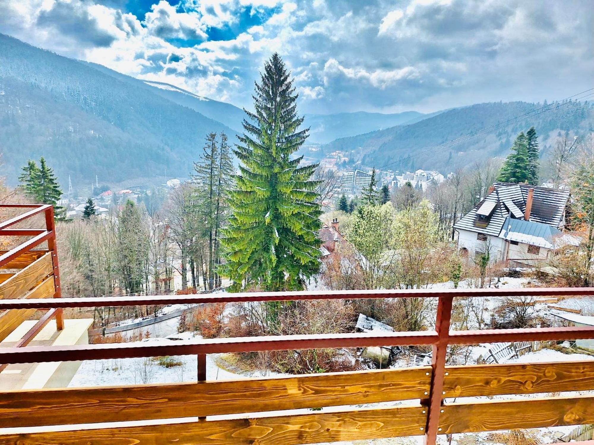 Villa Stone House Sinaia Extérieur photo