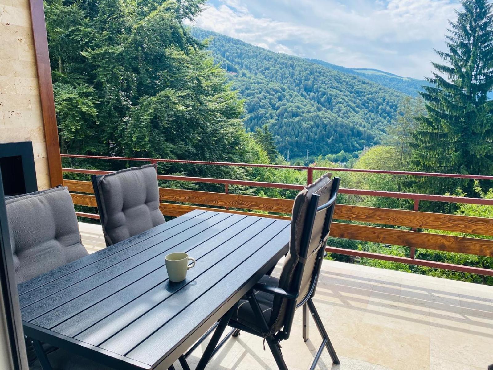 Villa Stone House Sinaia Extérieur photo